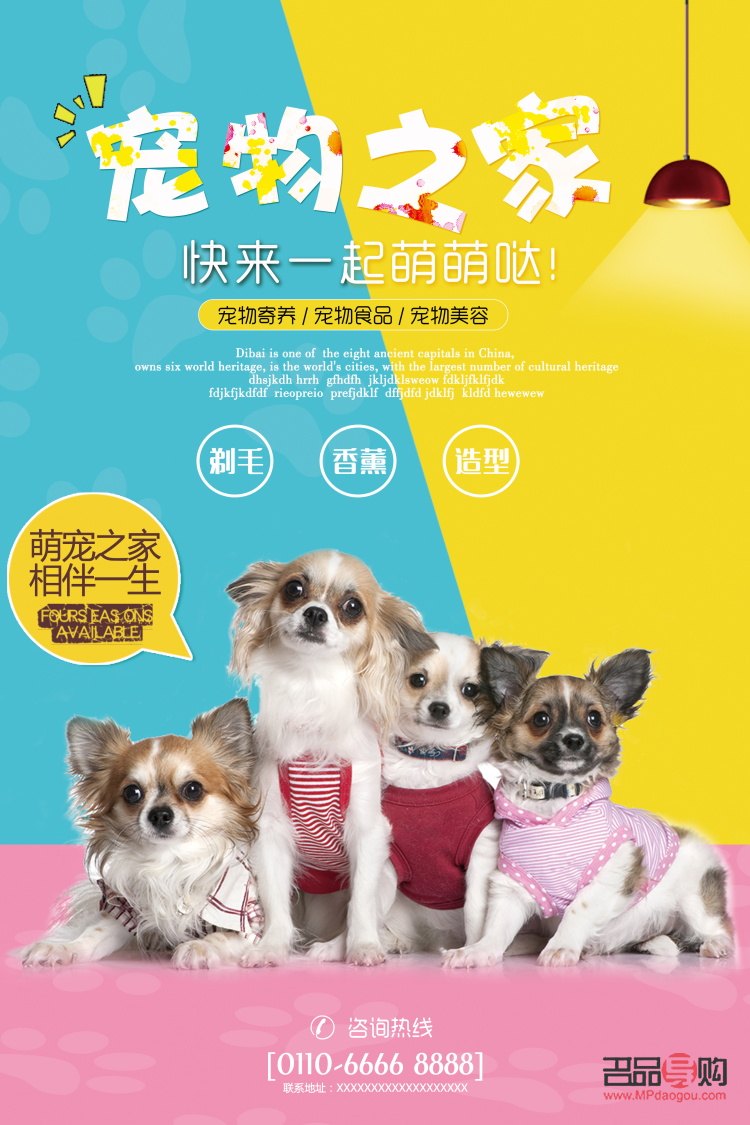 探尋寵物美容學(xué)習(xí)圣地，打造時(shí)尚萌寵新造型