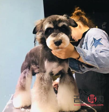 美容學(xué)習(xí)去哪里學(xué)(美容在哪學(xué))