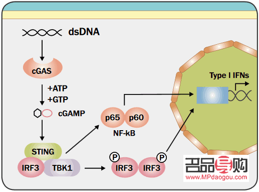 醫(yī)學(xué)美容探秘：打造完美容顏的科學(xué)之道
