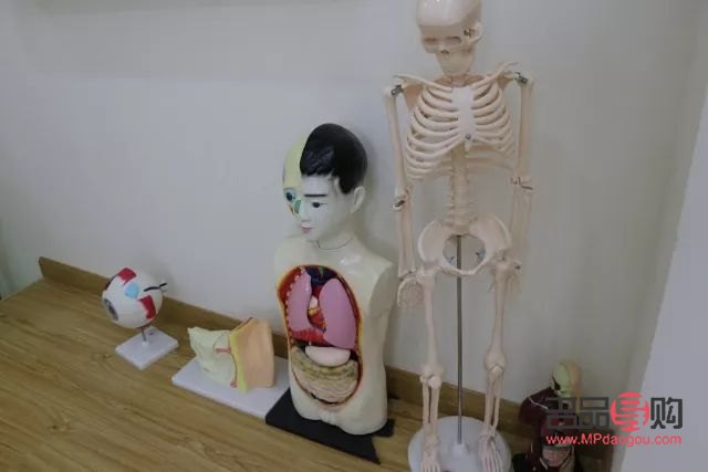 娃娃平常怎么護(hù)理身體(娃娃平常怎么護(hù)理身體健康)