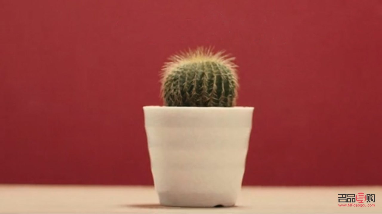 回家給老婆帶什么禮物(回家給老婆帶什么禮物好)