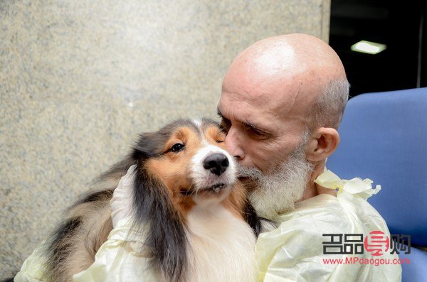 <h3>生病后最想要的禮物</h3>