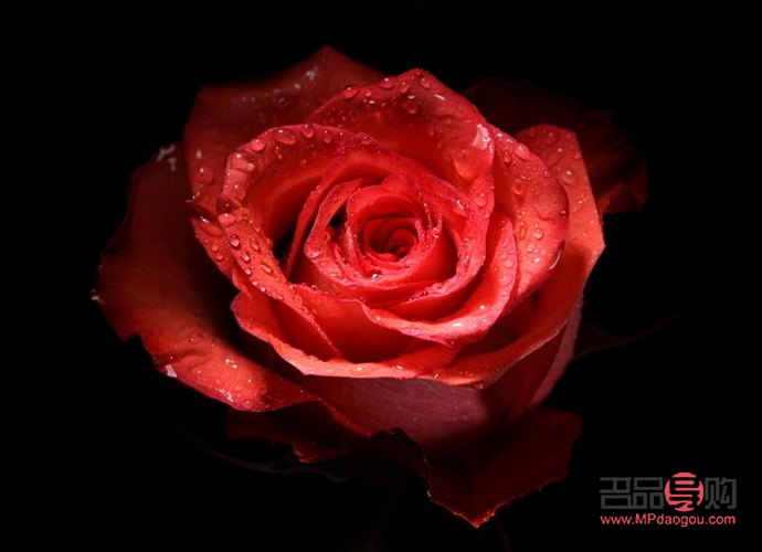 <h3>玫瑰美容：探究玫瑰在美容領(lǐng)域的卓越功效與應(yīng)用</h3>