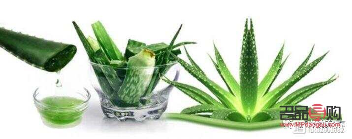 <h3>蘆薈配什么美容</h3>