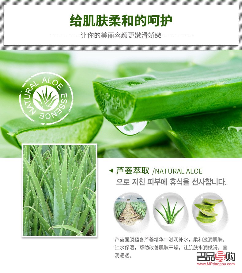 <h3>蘆薈配什么美容</h3>