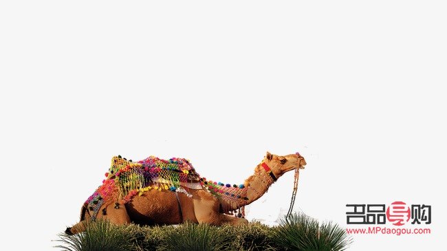 駱駝特效禮物價格探秘