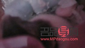 倉鼠美容怎么做