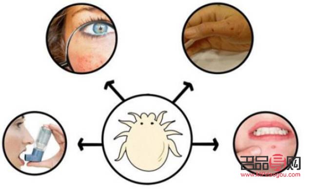 做美容去螨蟲嗎(做美容去螨蟲嗎有效果嗎)