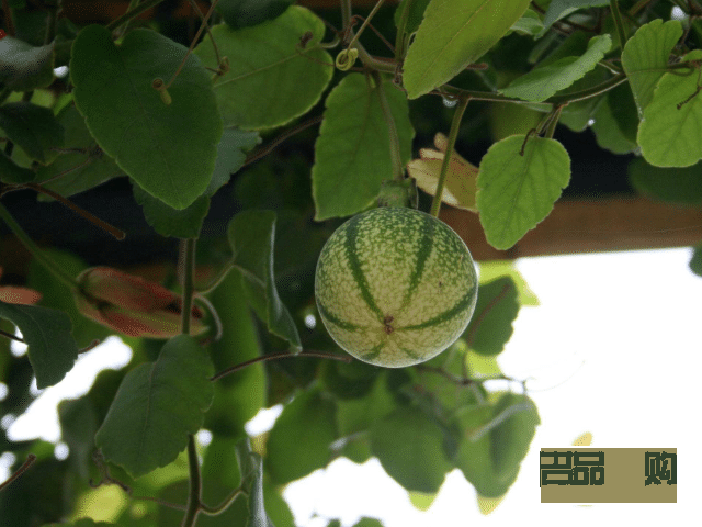 現(xiàn)在學(xué)美容好嗎(現(xiàn)在學(xué)美容好嗎女生)