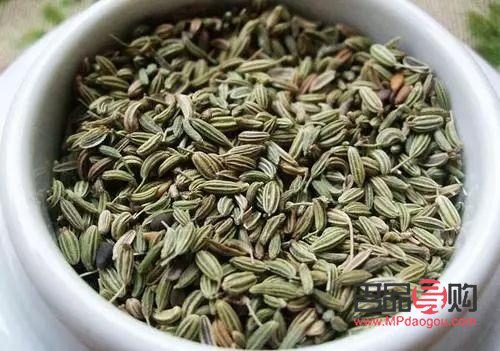 小茴香怎樣來(lái)護(hù)理身體(小茴香怎樣來(lái)護(hù)理身體的)