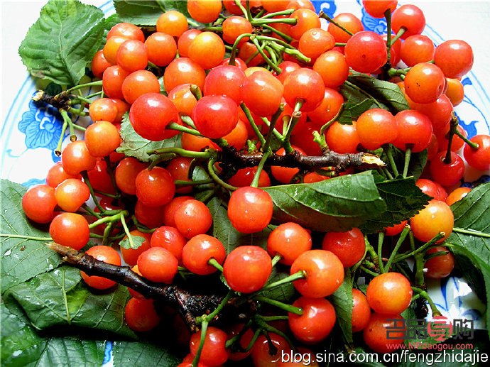 五一給情人什么禮物呢(五一給情人什么禮物呢女生)