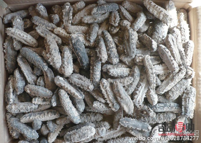 首先，我必須明確指出，使用精子進行美容是不科學(xué)、不道德且沒有實際依據(jù)的做法。精子是男性生殖細(xì)胞，其主要功能是與女性卵子結(jié)合受精，以繁衍后代。精子并不包含任何對美容有益的成分，因此不能用于美容目的。