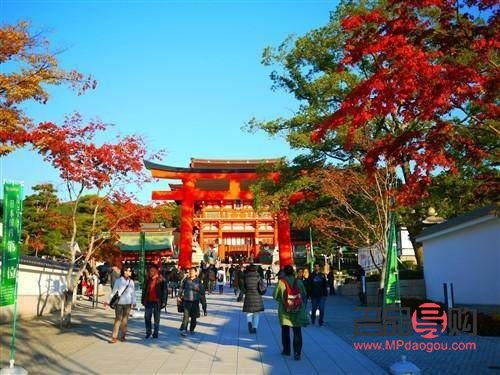 赴日本旅游帶什么禮物(赴日本旅游帶什么禮物比較好)