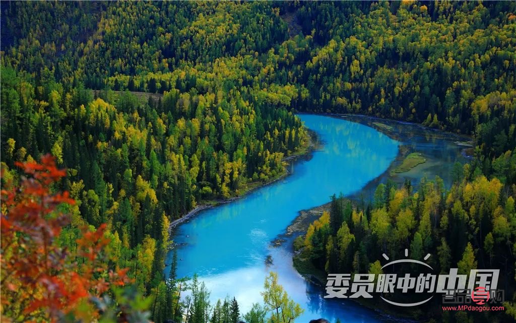 韓鏡醫(yī)療美容，專業(yè)塑造美麗新典范