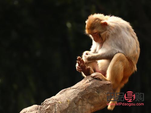 番禺身體護(hù)理哪家好點(diǎn)(番禺療養(yǎng)院體檢中心電話號(hào)碼)