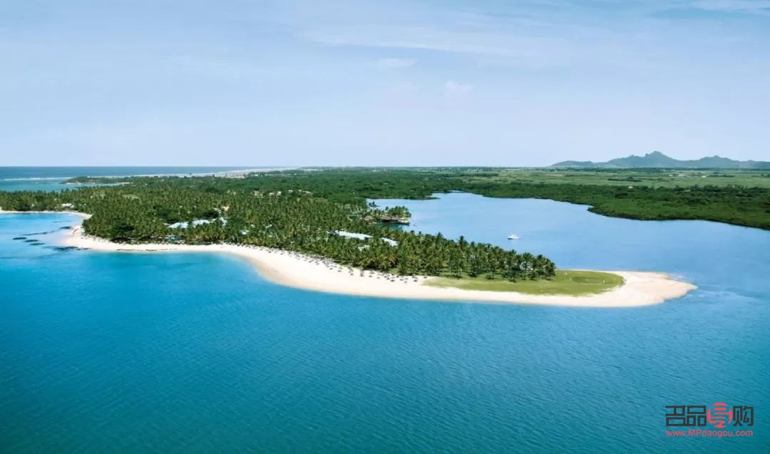 澳洲椰子身體怎么護(hù)理(澳洲椰子樹(shù))