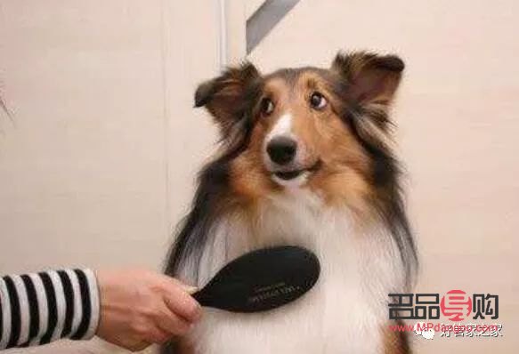 美容護(hù)理是學(xué)什么(美容護(hù)理是學(xué)什么的)