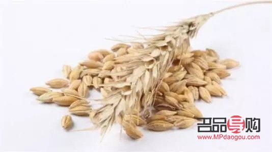 吃燕麥美容嗎(吃燕麥美容嗎會(huì)胖嗎)