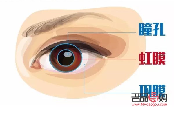 平行眼照片(平行眼照片怎么制作)