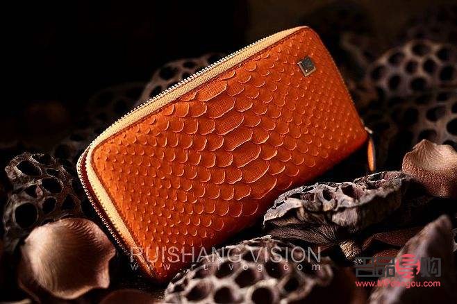 身體護理軟件哪個好用？專業(yè)評測助你選出最佳選擇