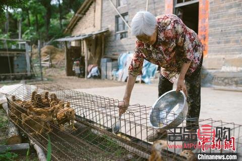 <h3>紅包類似的禮物探秘：傳統(tǒng)與創(chuàng)新的結(jié)合</h3>