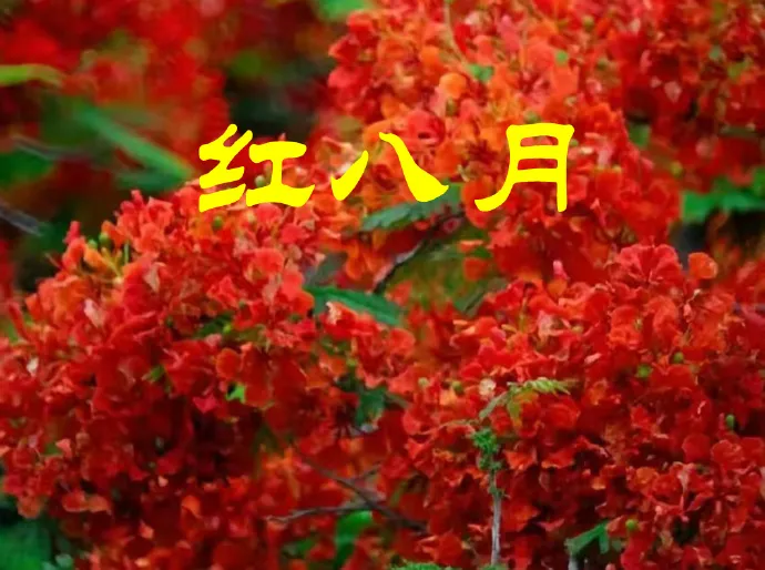 8.14股市早8點丨理念決定盈虧·認(rèn)知決定財富