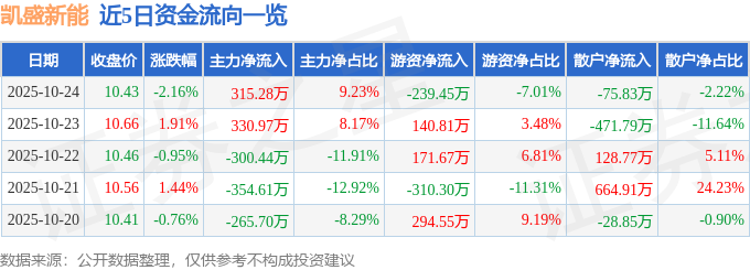凱盛新能（600876）10月24日主力資金凈買入315.28萬元