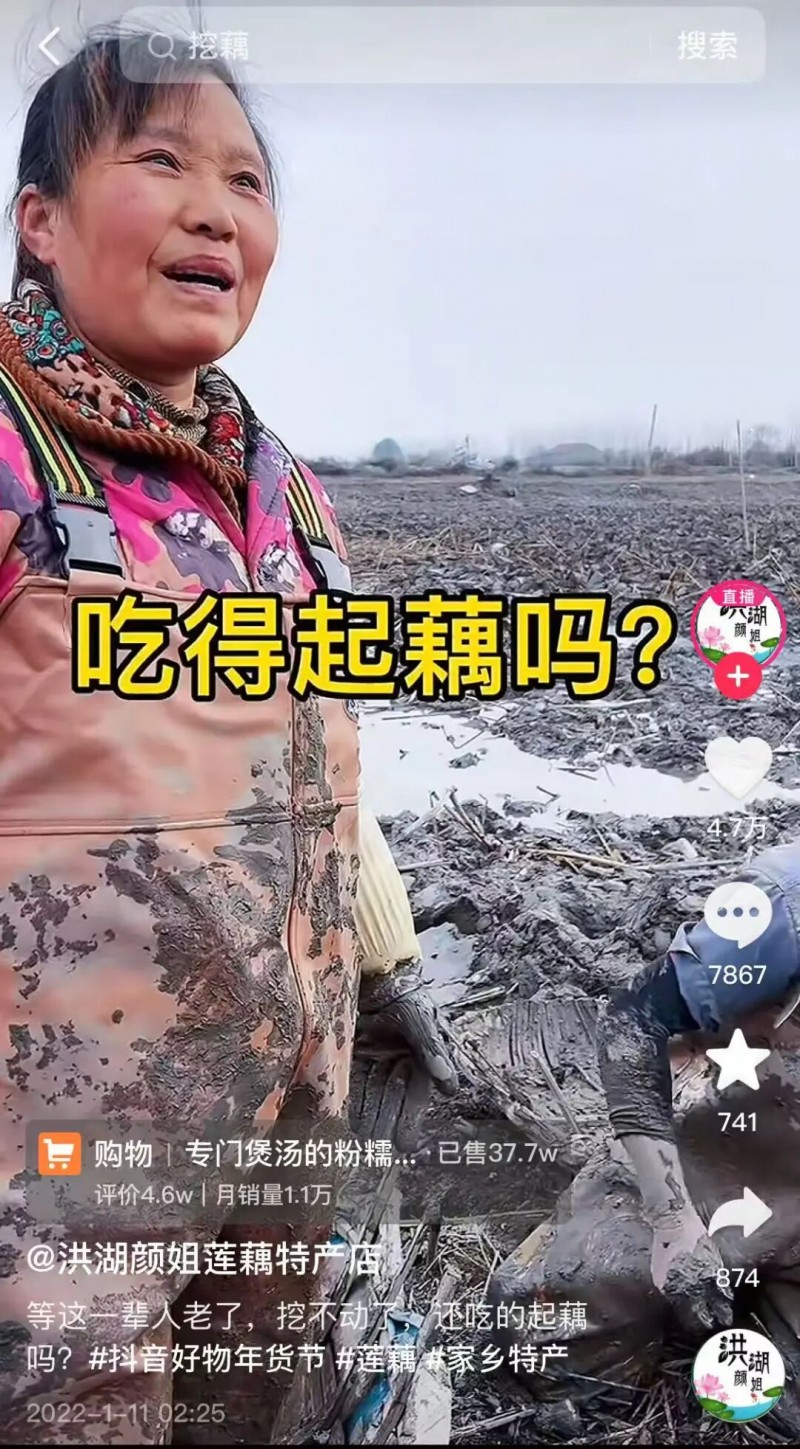 洪湖“藕三代”：挖藕月入兩萬，年輕人甘做“泥腿子”