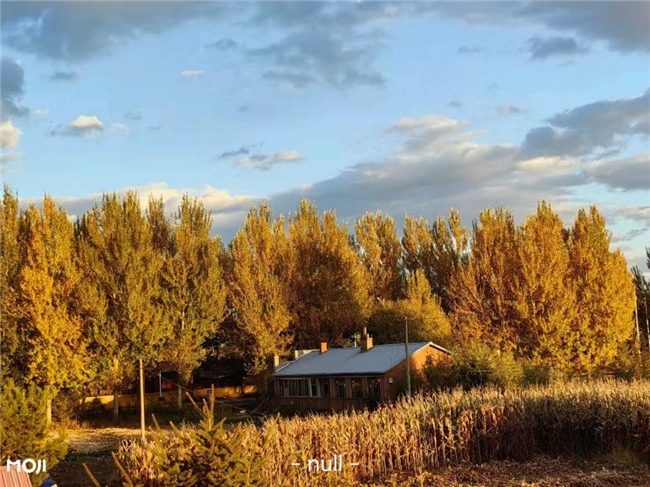 氣象賦能健康 墨跡天氣助力降溫期的主動健康管理