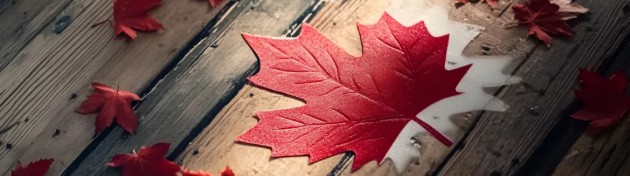 外聯(lián)出國(guó)：加拿大稅務(wù)局正嚴(yán)查“海外資產(chǎn)”，這些誤區(qū)很多人還不知道！僅 1 次補(bǔ)救機(jī)會(huì)！