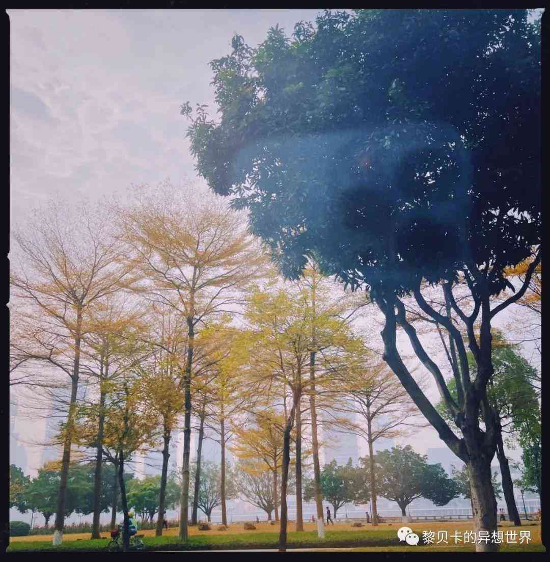 小紅書(shū)穿衣服搭配圖片