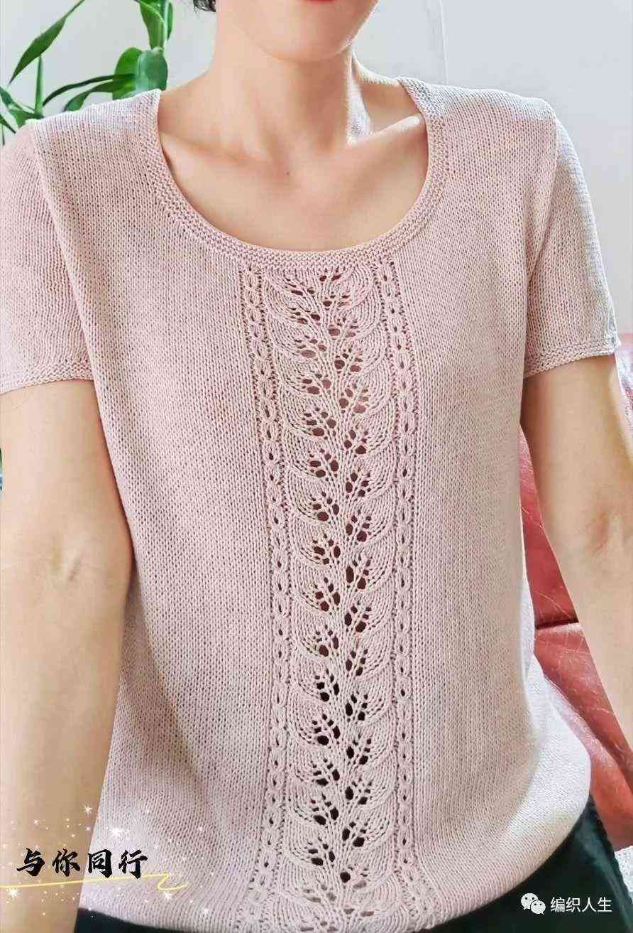 女士體恤衫短袖新款