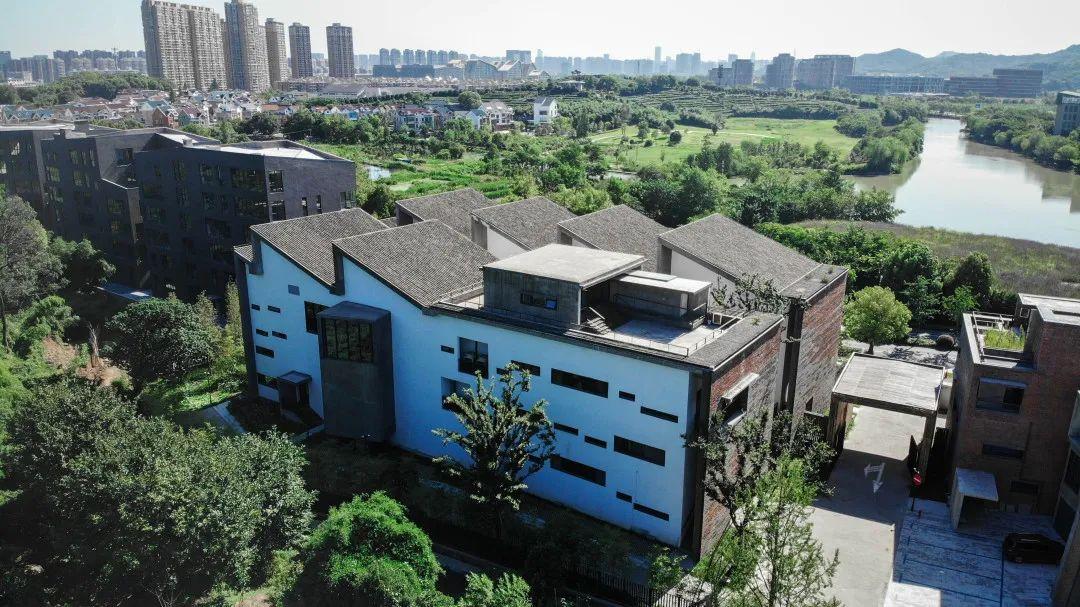 黃金樟化妝品效果圖(黃金樟是什么木頭圖片)