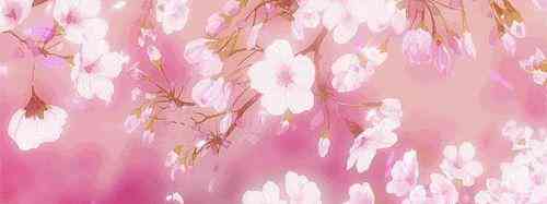 桃花牌化妝品多少錢一盒(桃花牌化妝品多少錢一盒啊)