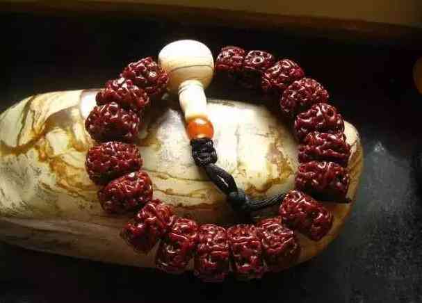 金剛菩提幾瓣的最好(金剛菩提幾瓣的最好看)