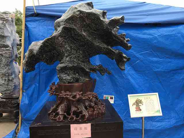 靈璧石價格一般是多少啊(靈璧石市場價格)