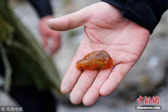 真正的天然琥珀多少錢(天然琥珀什么價(jià))