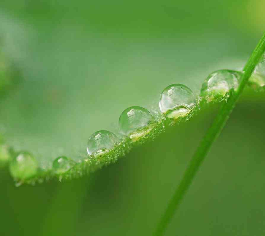 翡翠怎么鑒定好壞(翡翠怎么鑒定好壞視頻)