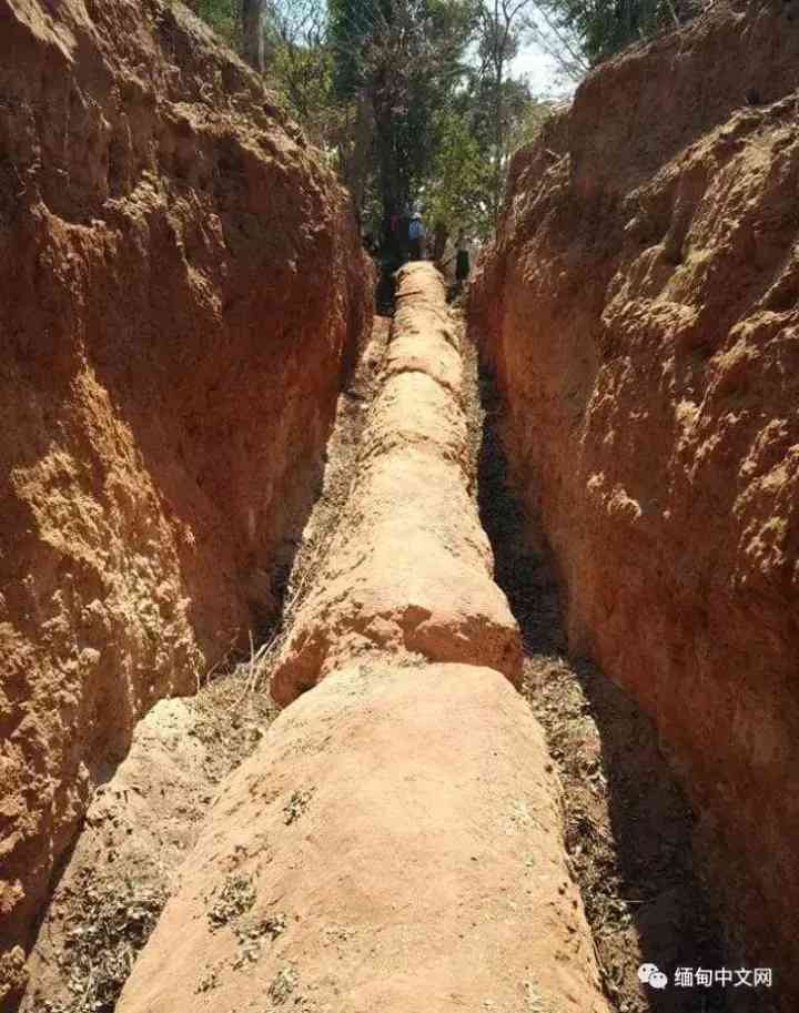 木化石值錢嗎(玉化木化石值錢嗎)