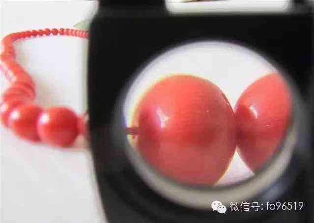 燈光下真假紅珊瑚(紅珊瑚燈光下有紋路)