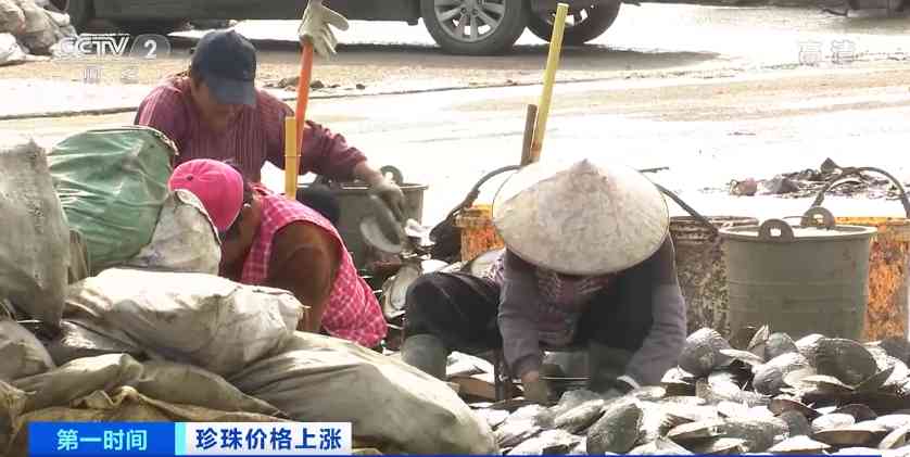 珍珠多少錢一斤(珍珠多少錢一袋)