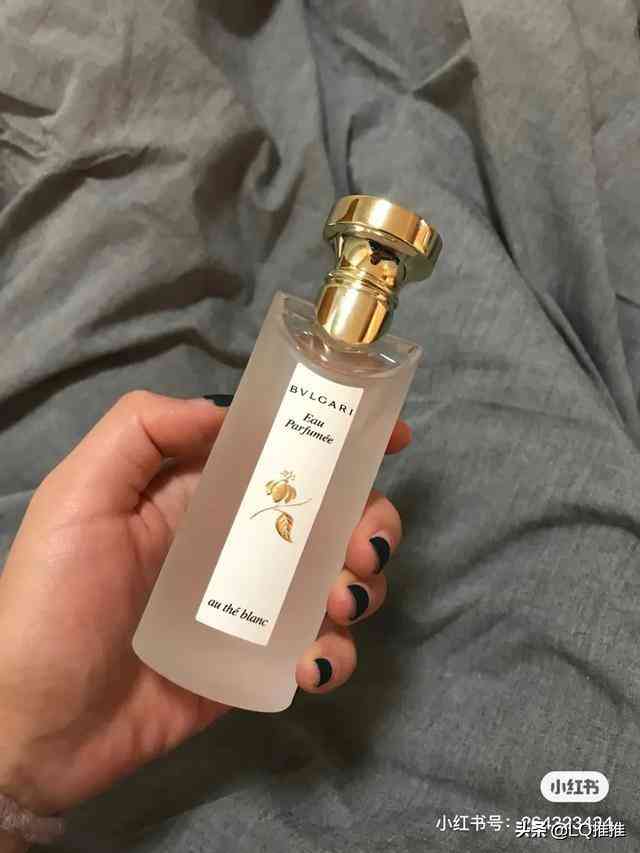 寶格麗香水哪款好聞(寶格麗香水哪個(gè)味道好聞)