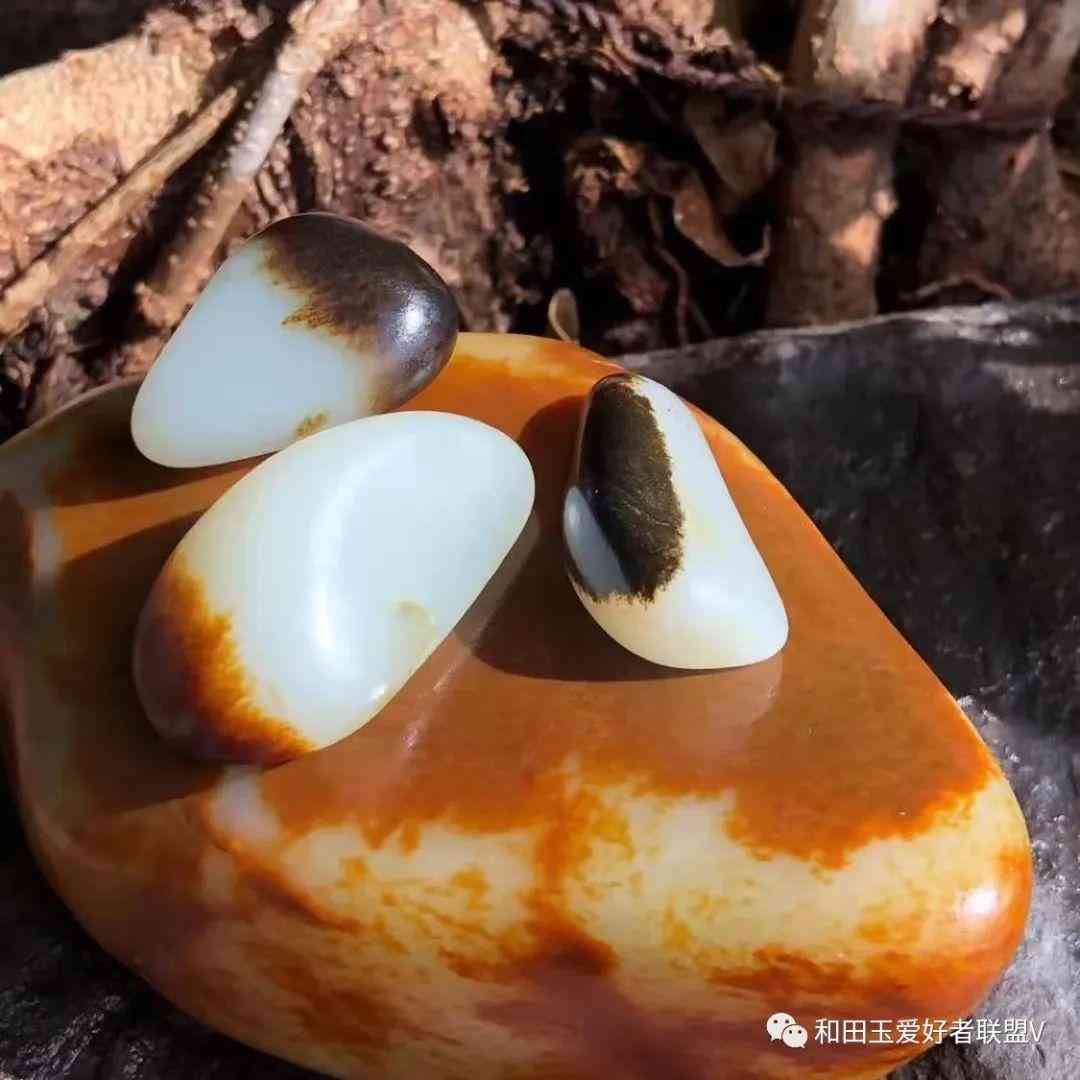 和田玉分幾種哪種最好(最好的和田玉是哪種)