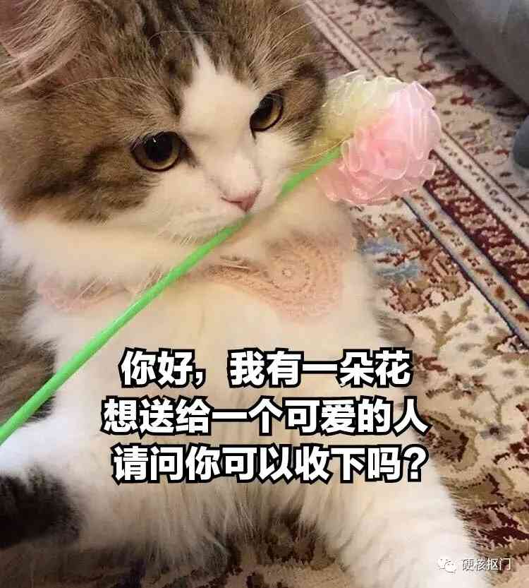 七夕送男朋友什么禮物比較好(七夕送男朋友什么禮物比較好實(shí)用)