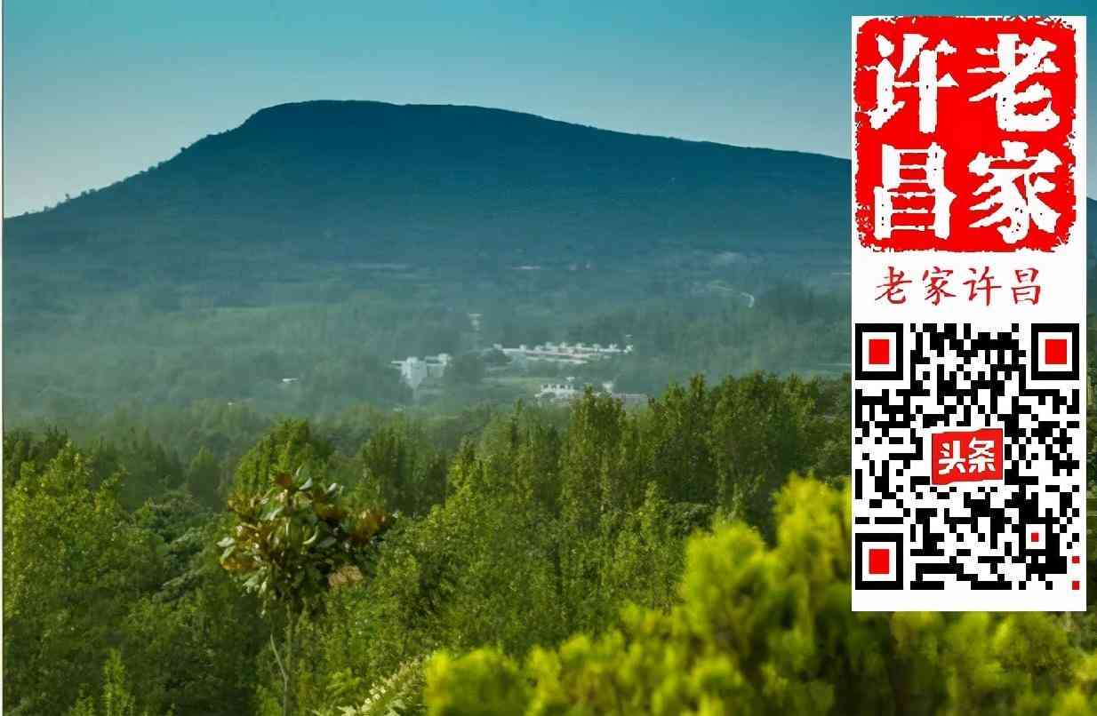 白水晶石價格(白水晶石價格多少一克)