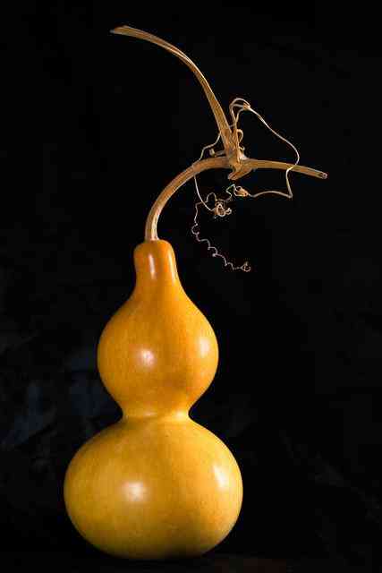 什么手串最有靈性(十大靈性手串排名)