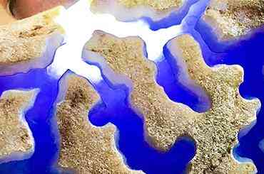 緬甸翡翠原石礦區(qū)的十大名坑(緬甸翡翠原石礦區(qū)的十大名坑在哪里)