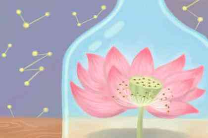 女人帶黃金貔貅的好處(女人佩戴貔貅的寓意黃金)