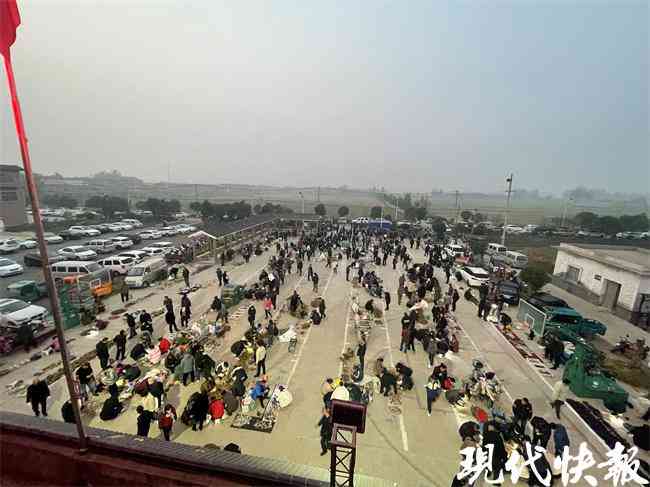 水晶原石的價錢(水晶原石的價格和圖像)