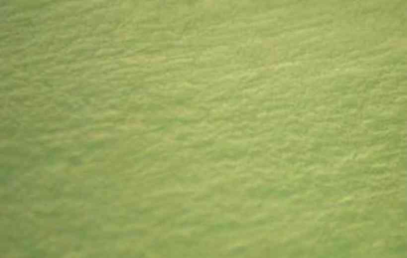 翡翠怎么辨別真假(玻璃種翡翠怎么辨別真假)插圖1